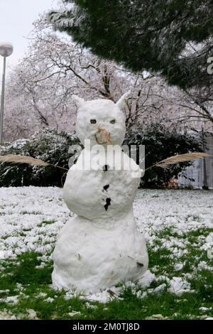 Neige. Rues couvertes d'une couverture blanche de neige qui couvre tous les éléments qui sont sur la rue. Voitures complètement blanches. Novembre. 2023. Ohio. ÉTATS-UNIS Banque D'Images