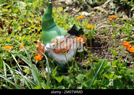 les petits gnomes se cachent dans le jardin Banque D'Images