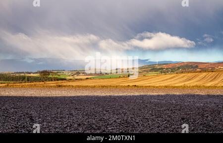 Dundee, Tayside, Écosse, Royaume-Uni. 8th décembre 2022. Météo au Royaume-Uni : le nord-est de l'Écosse connaît un beau soleil de décembre, avec des sommets autour de 3°C. Tayside a reçu sa première chute de neige de l'année grâce à un coup de nuit dans l'arctique. Des averses de neige baladent les collines Sidlaw de Dundee, le parc régional de Clatto et la campagne environnante. Crédit : Dundee Photographics/Alamy Live News Banque D'Images