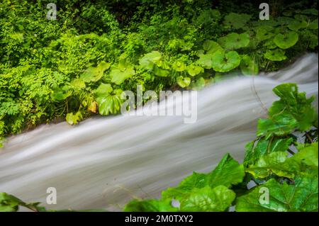 La majesté de la cascade de Marmore. Rêvez l'Ombrie. Banque D'Images