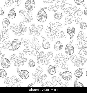 Motif sans couture isolé vectoriel de feuilles et de fruits de l'arbre de figue Illustration de Vecteur