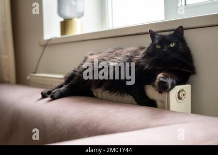 Chat noir posé sur le lit à côté d'un radiateur. Animal domestique paresseux reposant à l'intérieur par une journée d'hiver froide Banque D'Images