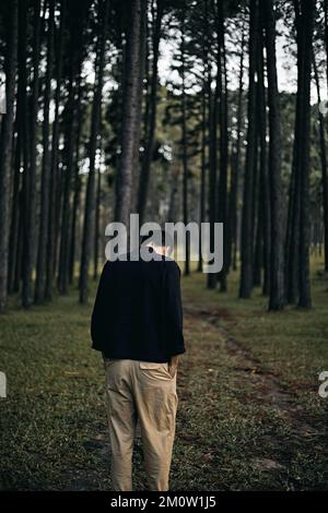 Vue arrière de l'homme marchant au milieu des arbres dans la forêt Banque D'Images