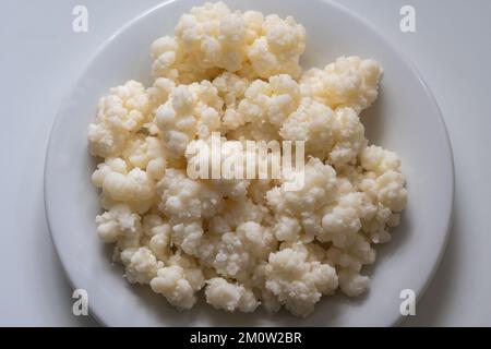 Grains de kéfir de lait biologique isolés sur une assiette Banque D'Images