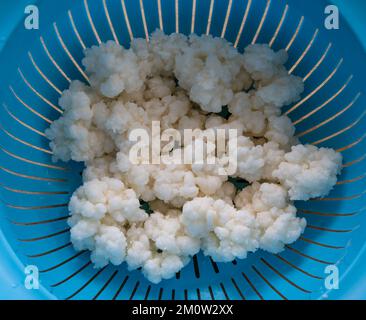 Grains de kéfir de lait biologique dans une passoire Banque D'Images