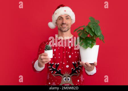 Portrait de noël santa man sur fond rouge studio. Pot de conservation de Santa avec plante. Banque D'Images