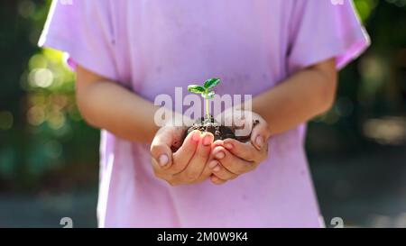 Gros plan les mains des enfants plantant l'arbre comme sauver le monde ou le soin de l'environnement et le concept d'écologie. Concept du jour de la Terre. Banque D'Images