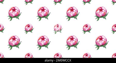 Motif sans couture avec motif aquarelle de fleur de pivoine rose Banque D'Images