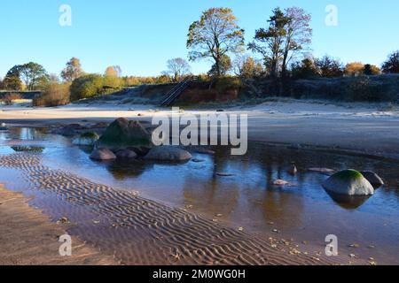 Les pierres dans l'eau à la plage avec des arbres en arrière-plan Banque D'Images