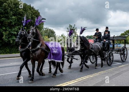 A Horse dessiné Hearse, Lewes, East Sussex, Royaume-Uni. Banque D'Images