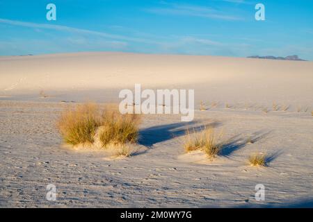 Photographie du parc national de White Sands, près d'Alamogordo, Nouveau-Mexique, États-Unis, lors d'une belle soirée d'automne. Banque D'Images