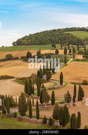 Vue sur la route en zigzag avec cyprès, Montichiello, Toscane, Italie Banque D'Images