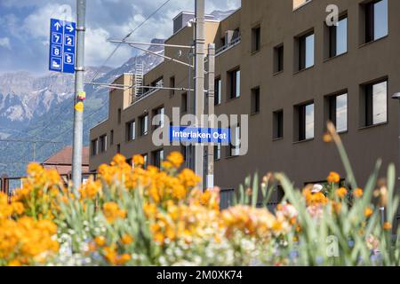 Panneau de la gare Interlaken Ost. Fleurs de printemps suisses hors du foyer au premier plan. Banque D'Images