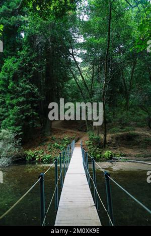 Un pont étroit sur un sentier de randonnée menant à une forêt dense et verte Banque D'Images