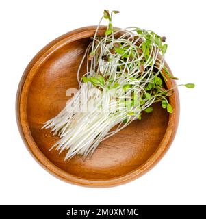 Lin commun, microverts dans un bol en bois. Des semis frais, crus, prêts à manger et verts de lin, en partie encore avec les couches de semence sur les pointes. Banque D'Images