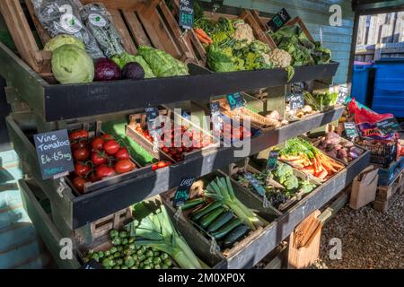 Légumes à vendre dans une ferme de Norfolk. Banque D'Images