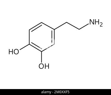 Structure moléculaire de la dopamine. La dopamine est un neurotransmetteur qui joue un rôle important dans le corps humain. Formule structurale vectorielle de composé chimique avec des liens rouges et des étiquettes d'atomes noirs. Illustration de Vecteur