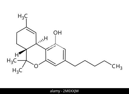 Tétrahydrocannabinol, ou THC, structure moléculaire. Le tétrahydrocannabinol est le principal médicament psychoactif du cannabis. Formule structurale vectorielle de composé chimique avec des liens rouges et des étiquettes d'atomes noirs. Illustration de Vecteur