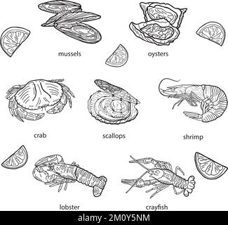 Ensemble de fruits de mer sur fond blanc, illustration vectorielle dessinée à la main. Illustration de Vecteur