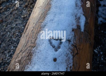 Un coeur dessiné dans la neige sur une bûche Banque D'Images