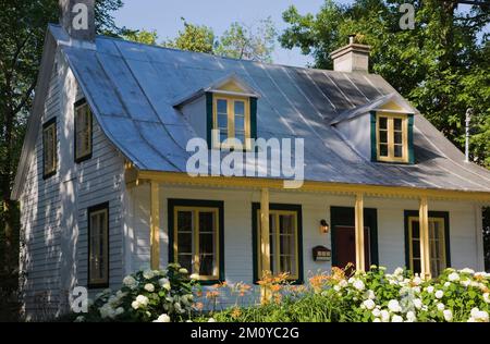 Vieux 1800s blanc avec bordure jaune et verte Canadiana maison de style cottage en été. Banque D'Images