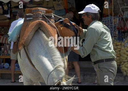 Hydra, Idra, Ύδρα, Grecja, Grèce, Griechenland; le transporteur fixe les colis à l'arrière de l'âne; Der Träger belädt den Esel Banque D'Images