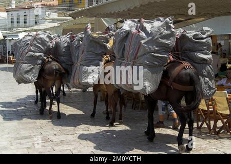 Hydra, Idra, Ύδρα, Grecja Grèce, Griechenland; Un âne chargé de gros colis - un moyen de transport local; ein mit großen Paketen beladener Esel Banque D'Images