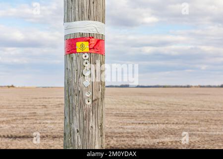 Étiquette d'inspection sur le pôle d'alimentation électrique. Concept de sécurité, d'entretien, de réparation et d'infrastructure du réseau électrique. Banque D'Images