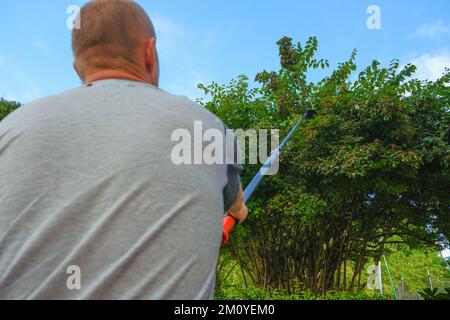 Taille-branches télescopique de jardin pour l'élagage des branches.taille-branches télescopique de jardin couper les branches vertes sur fond de ciel. Formation des plantes.outil de Pruning Banque D'Images