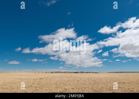 Herbage d'un ranch à aire ouverte au Nouveau-Mexique sous un vaste ciel bleu azur avec des nuages blancs moelleux Banque D'Images