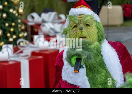 Grinch Noël présent chapeau arbre, arbre de noël décoration de fond, mexique Banque D'Images