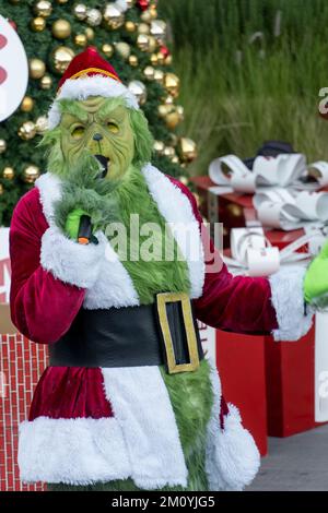 Grinch Noël présent chapeau arbre, arbre de noël décoration de fond, mexique Banque D'Images