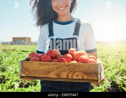 Le plus frais que vous trouverez. une agricultrice tenant une caisse de tomates fraîchement récoltées. Banque D'Images