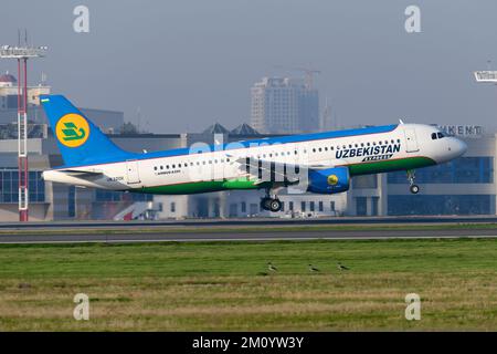 Uzbekistan Airways Express Airbus A320 atterrissage à l'aéroport de Tachkent en Ouzbékistan. Avion d'Ouzbékistan Express à l'arrivée. Banque D'Images