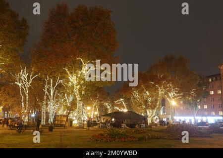 Les arbres du parc sont décorés de petites ampoules en hiver. Magnifique parc avec arbres illuminés de lumière jaune chaude. Banque D'Images