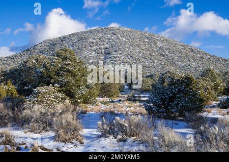 Scène hivernale d'arbres enneigés et de Sun Mountain à Santa Fe, Nouveau-Mexique Banque D'Images
