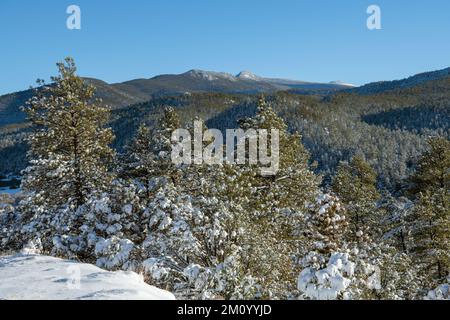 Paysage d'hiver de forêt enneigée et de montagnes le long de la route haute à Taos dans les montagnes Sangre de Cristo, Nouveau-Mexique Banque D'Images