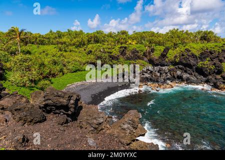 Plage de sable noir, formations rocheuses de lave et palmiers au-dessus d'une crique avec eau bleue claire au parc national de Waiʻanapanapa, Maui Banque D'Images