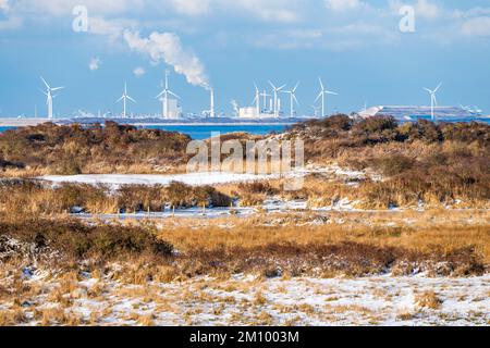 Les dunes de Kwade Hoek avec de la neige par une journée d'hiver à Goeree-Overflakkee, aux pays-Bas. L'industrie et les éoliennes du Maasvlakte, Port de R Banque D'Images