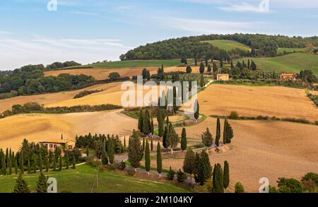 Vue sur la route en zigzag avec cyprès, Montichiello, Toscane, Italie Banque D'Images