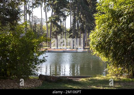 Bateaux à rames sur le lac du bois de Boulogne, Paris, France Banque D'Images