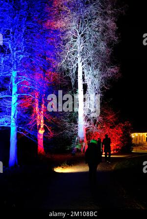 The Glow, illuminations hivernales, RHS Harlow Carr Gardens, Harrogate 2022 Banque D'Images