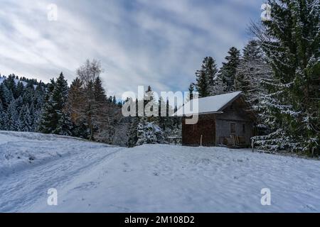 Holzhaus, Ferienhaus am Waldrand auf dem Hügel im ersten Schnee, verschneite Landschaft mit weißen Wiesen und Bäumen. Avent und Weihnachtszeit Ferien Banque D'Images