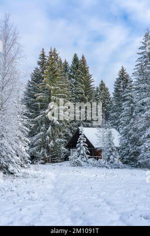 Holzhaus, Ferienhaus am Waldrand auf dem Hügel im ersten Schnee, verschneite Landschaft mit weißen Wiesen und Bäumen. Avent und Weihnachtszeit Ferien Banque D'Images