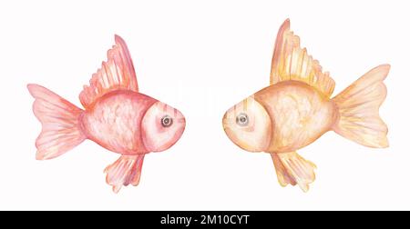 Aquarelle marine mignon poisson clip art ensemble, animaux de l'océan clipart. Illustrations délicates de poissons roses et dorés jaunes Banque D'Images