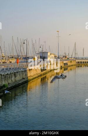 Senigallia, Italie: Vue sur le canal au lever du soleil sur les yachts dans les bateaux dans le port et les mouettes volantes. Vue sur la ville. Carte postale de la ville Banque D'Images