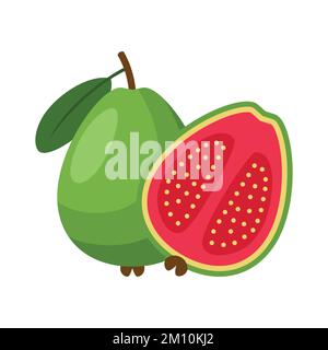 Guava dessin plat clip art vecteur illustration isolée sur un fond blanc Illustration de Vecteur