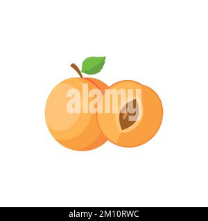 Motif abricot plat clip art vectoriel illustration isolée sur fond blanc Illustration de Vecteur