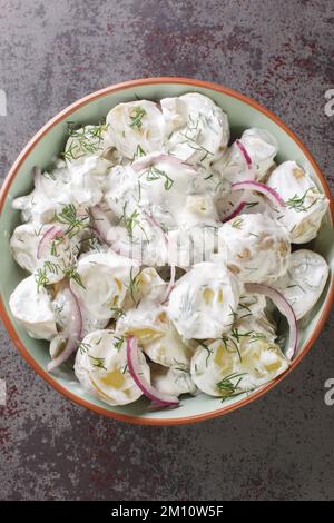 Salade de pommes de terre suédoise aux cornichons, à l'aneth et à l'oignon rouge assaisonné de crème aigre dans une assiette sur la table. Vue verticale du dessus Banque D'Images