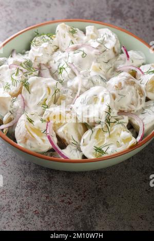 Salade de pommes de terre suédoise aux cornichons, à l'aneth et à l'oignon rouge assaisonné de crème aigre dans une assiette sur la table. Verticale Banque D'Images